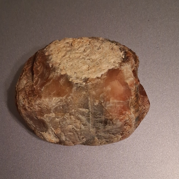 Natural Petrified Wood Stone - Picture 3 of 6